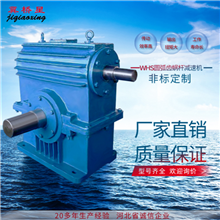 通用型環(huán)面蝸桿減速機(jī)